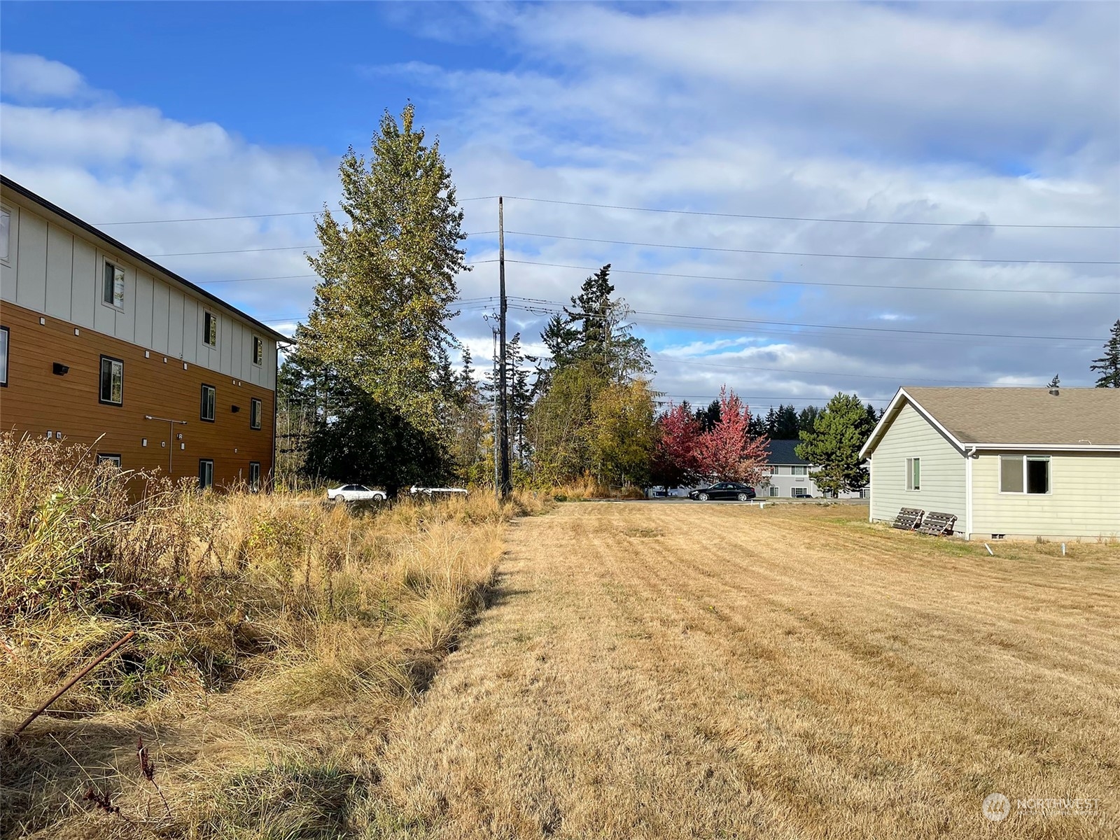 1140 E Park Street Property Photo 17