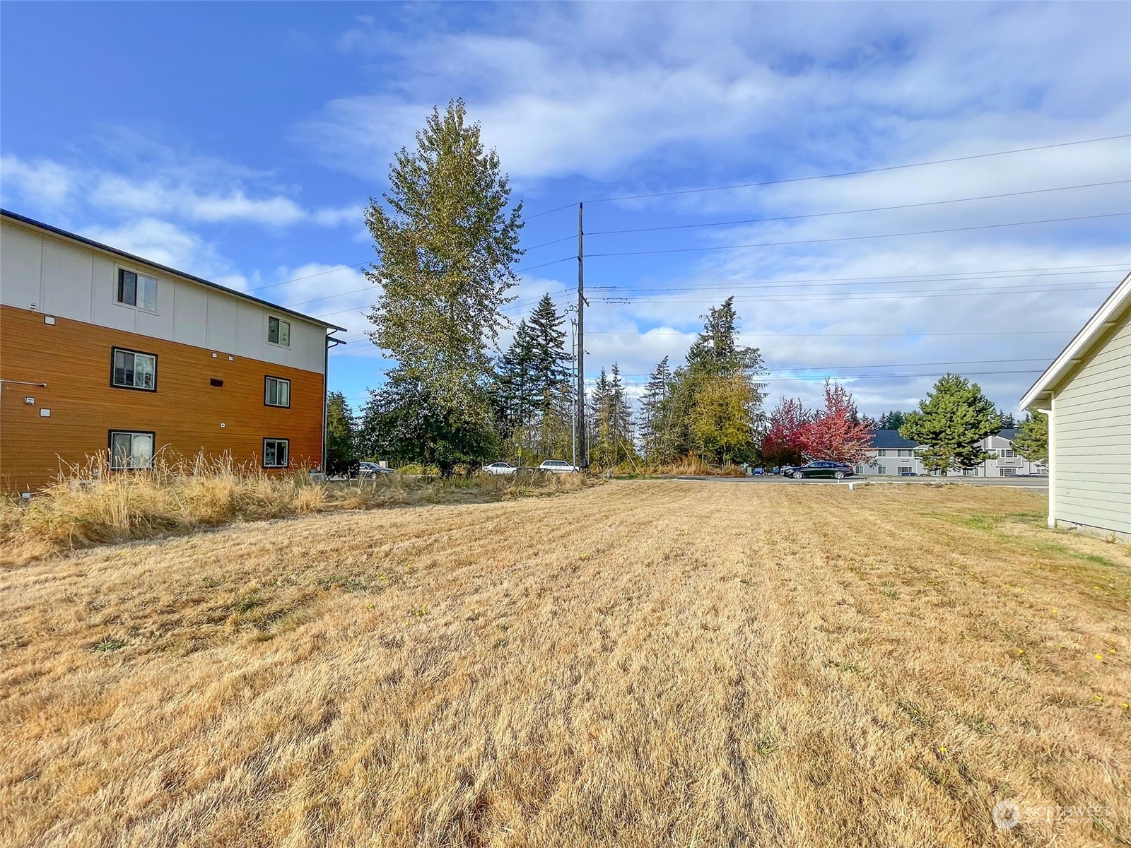 1140 E Park Street Property Photo 23