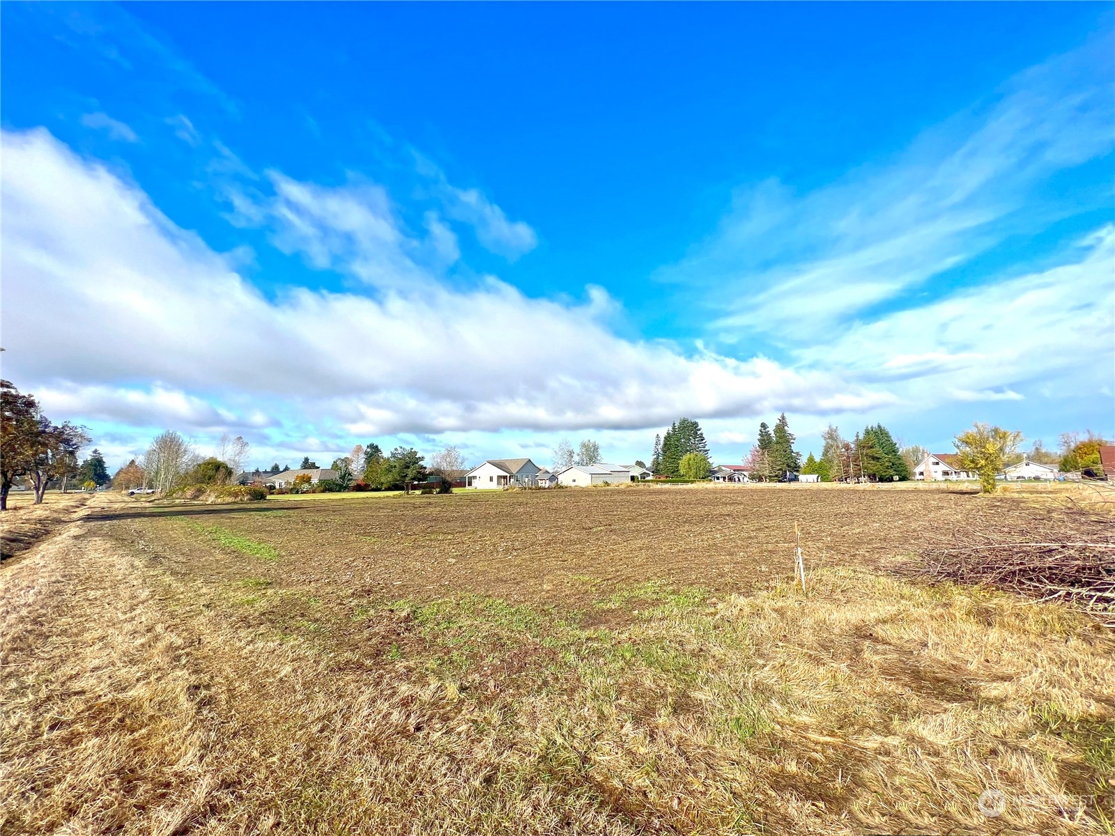 1739 (lot 5) Collins Road Property Photo