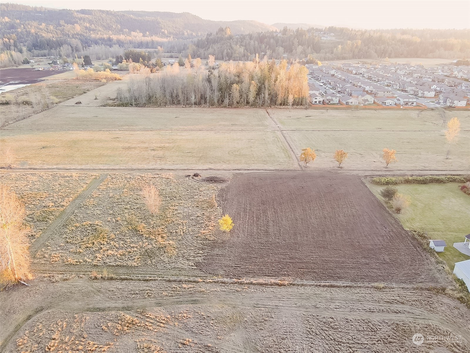 1739 (lot 4) Collins Road Property Photo