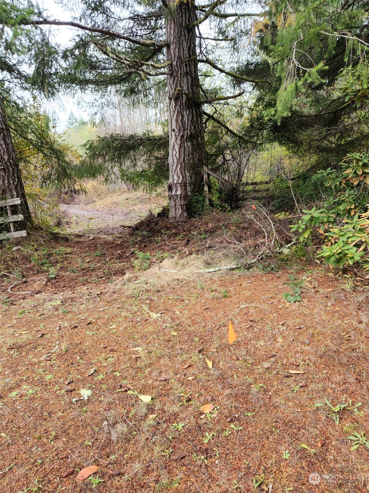2 Acres W Cloquallum Road Property Photo