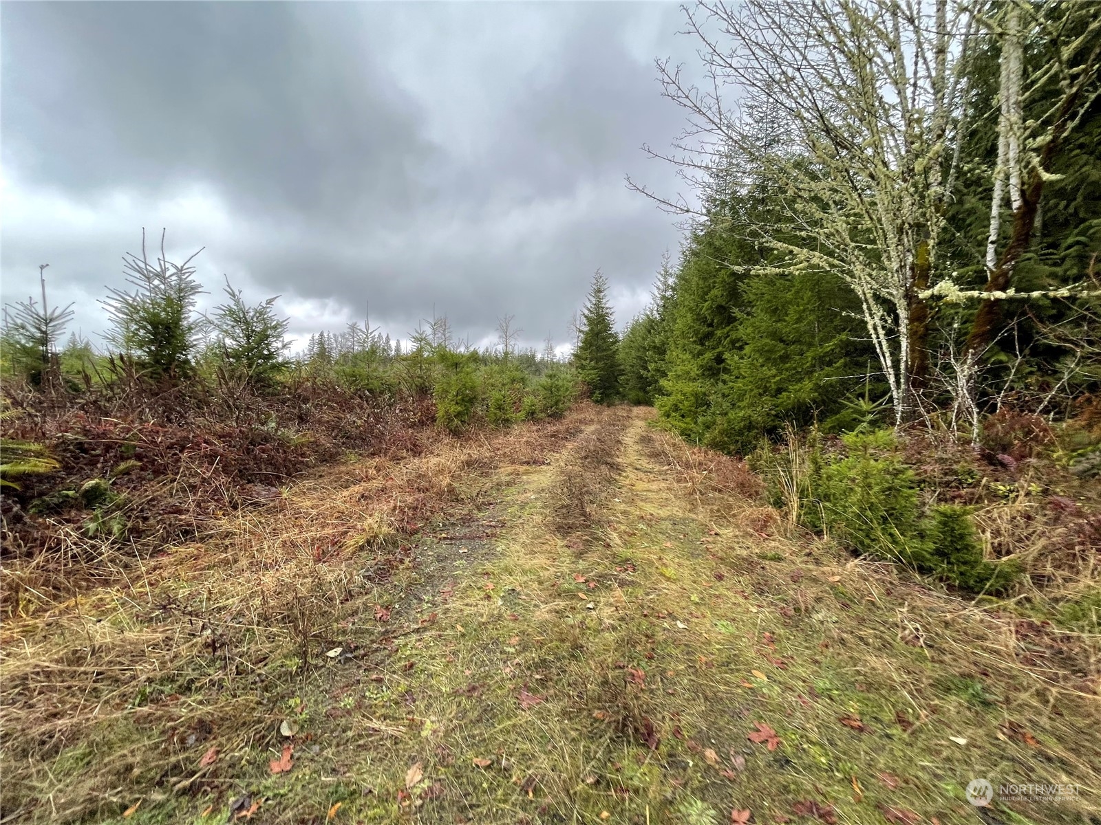 10 Xx Oppelt Road Property Photo