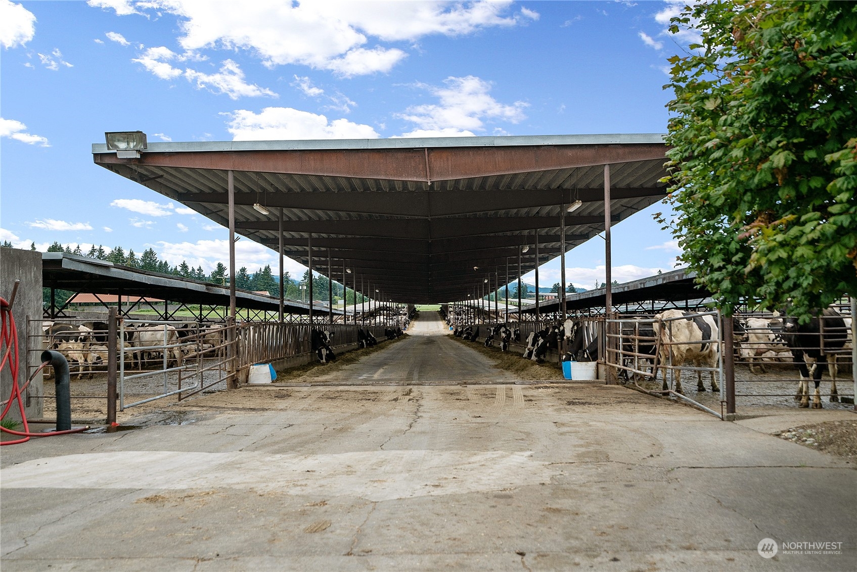 8725 152nd Avenue Property Photo 23