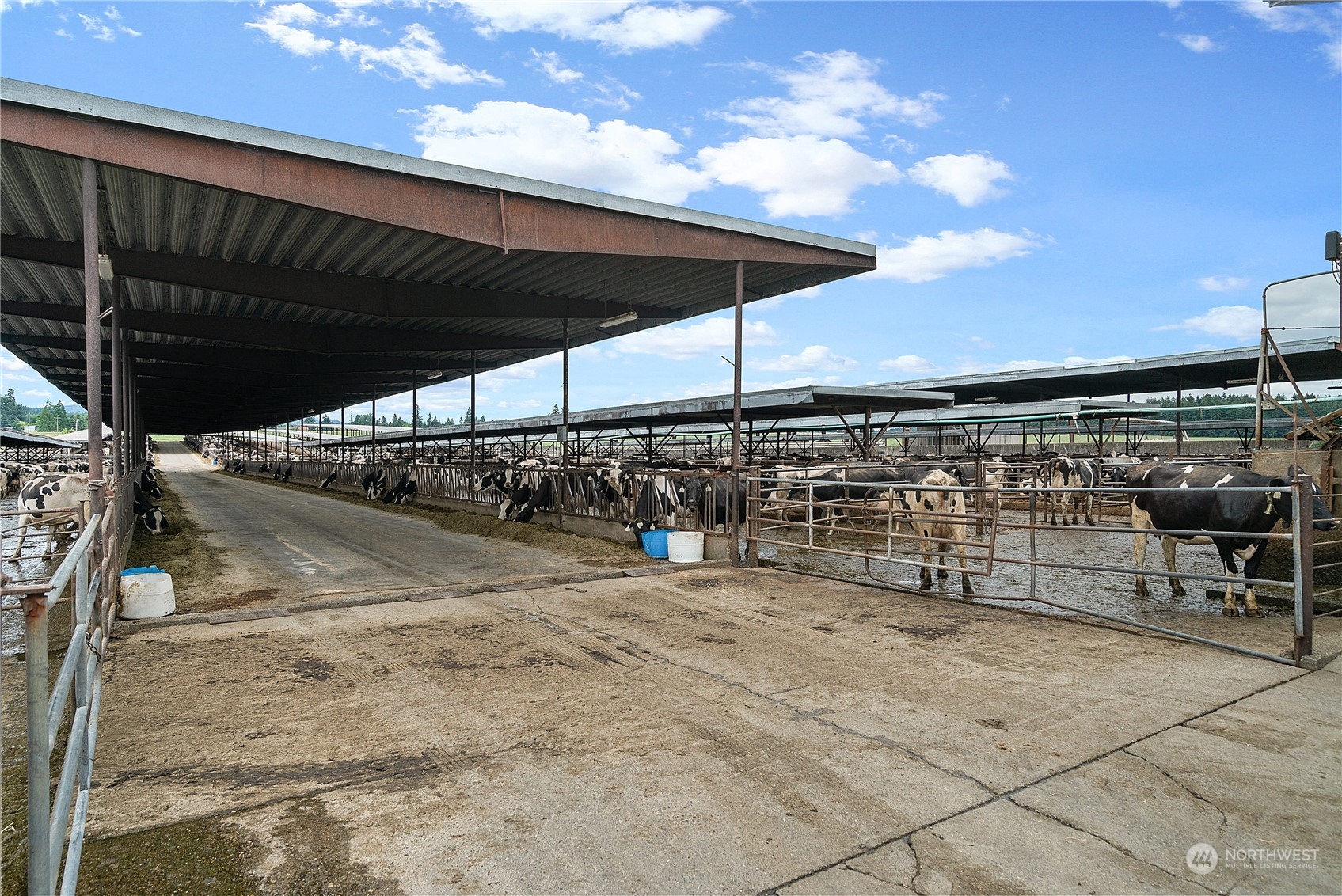 8725 152nd Avenue Property Photo 24