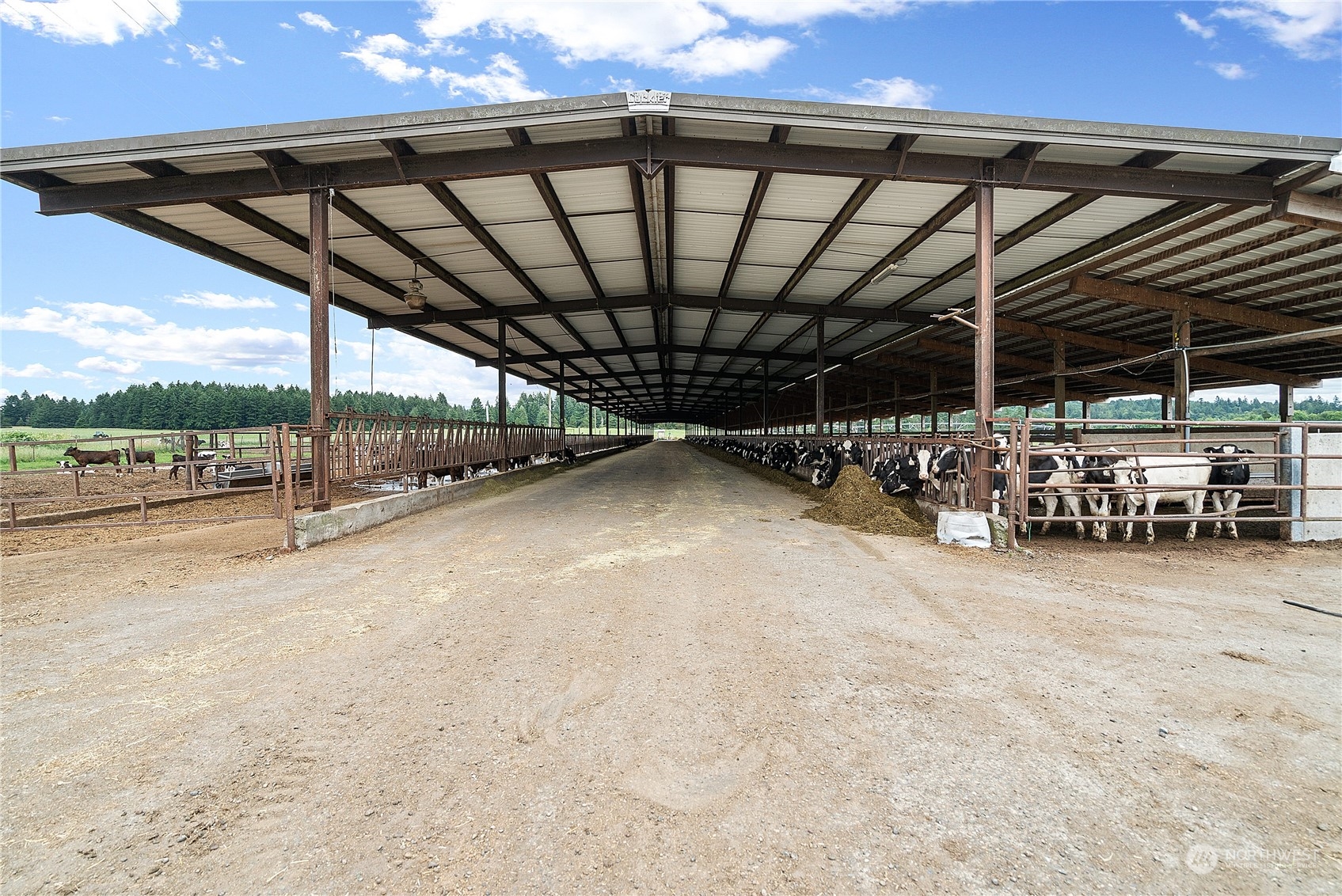 8725 152nd Avenue Property Photo 29