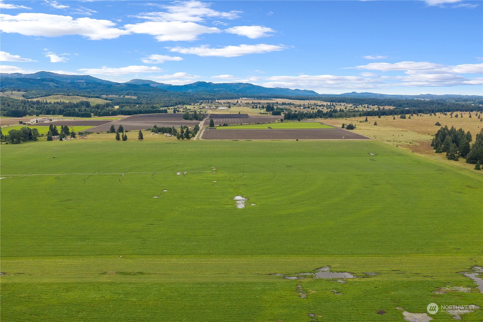 8725 152nd Avenue Property Photo 34