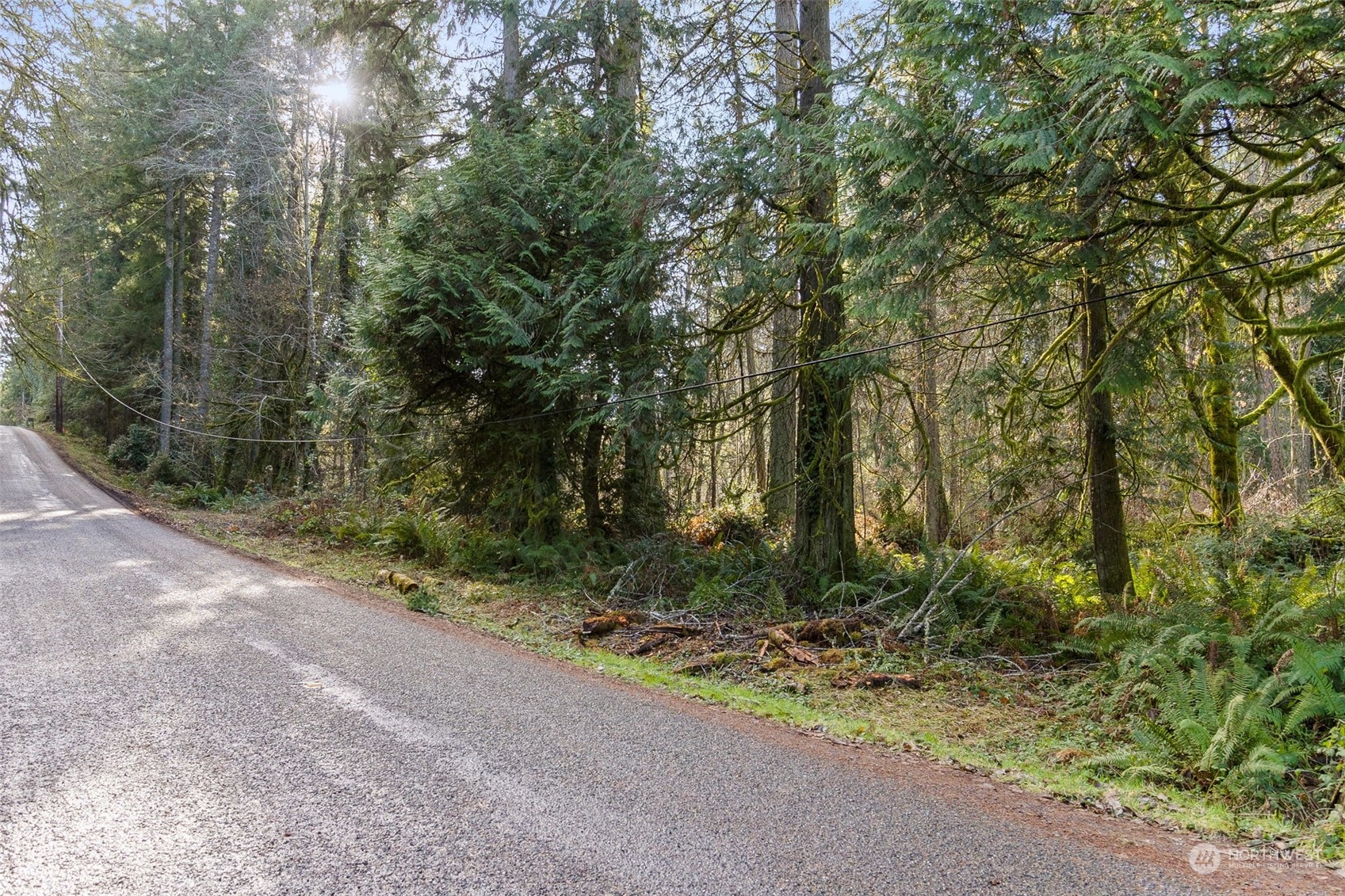 8031 Kerbaugh Road Property Photo 16