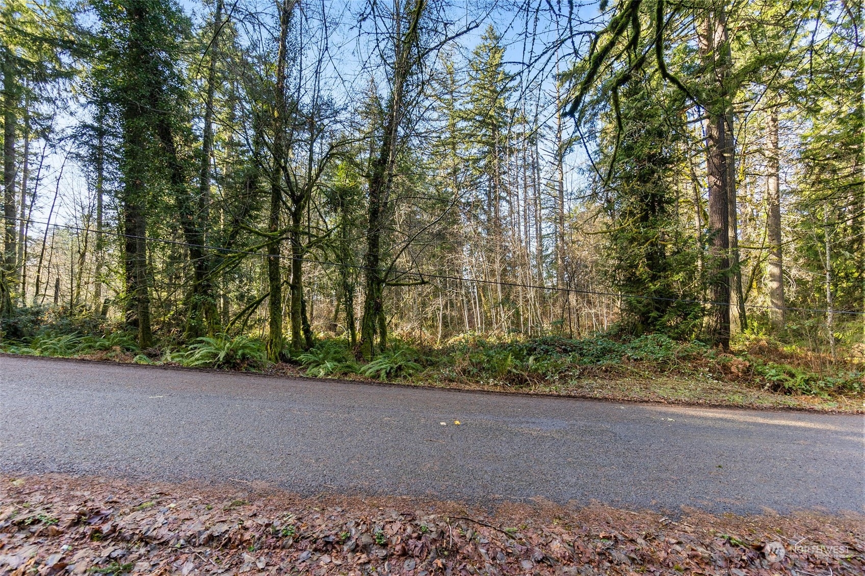 8031 Kerbaugh Road Property Photo 19