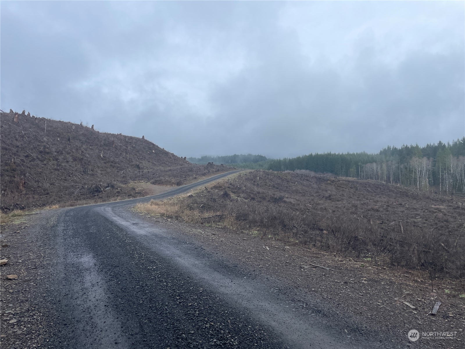 0 Alger Truck Trail Property Photo