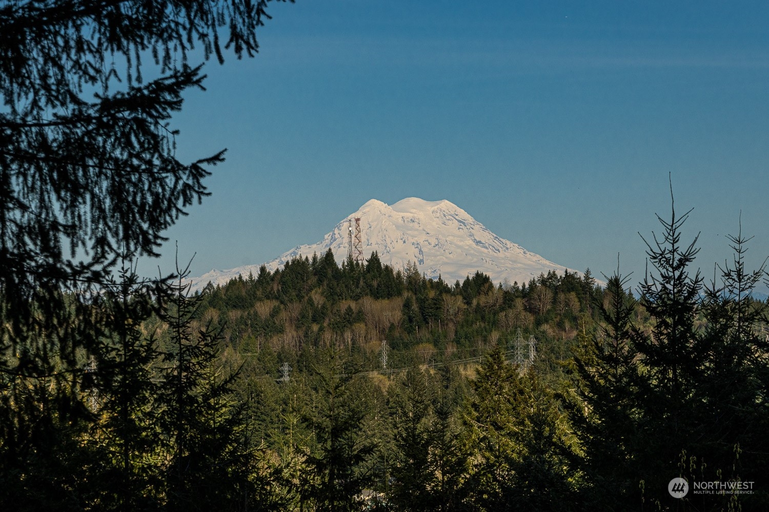 4737 Gold Ridge Lane Lot-4 Property Photo