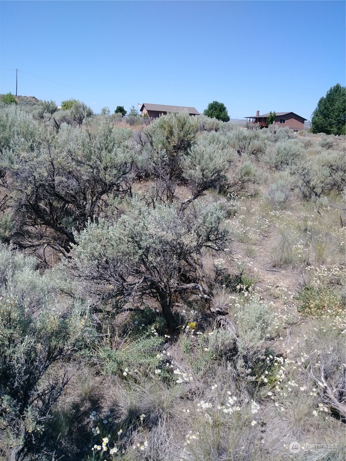 0 Lot 20 Snaffle Court Property Photo 4