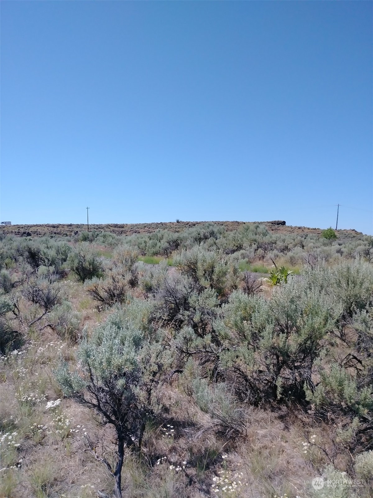 0 Lot 20 Snaffle Court Property Photo 5
