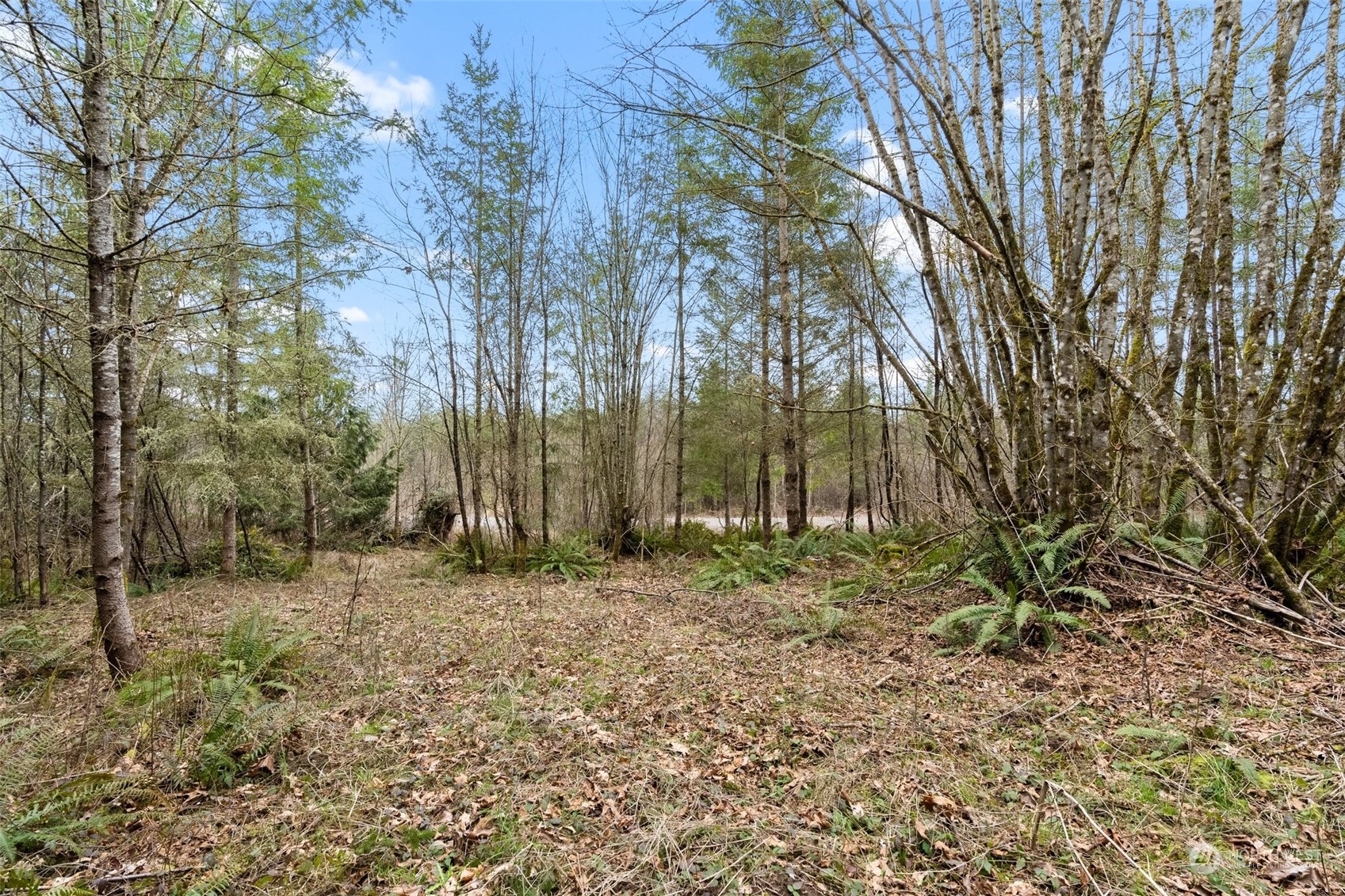 0 Us Hwy 12 Property Photo 21