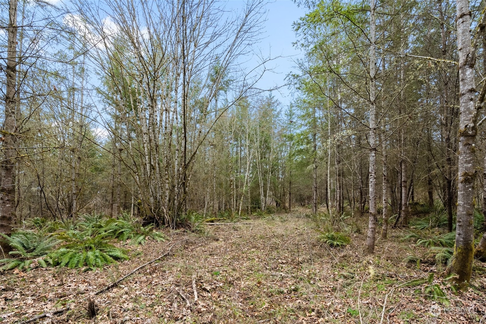 0 Us Hwy 12 Property Photo 23