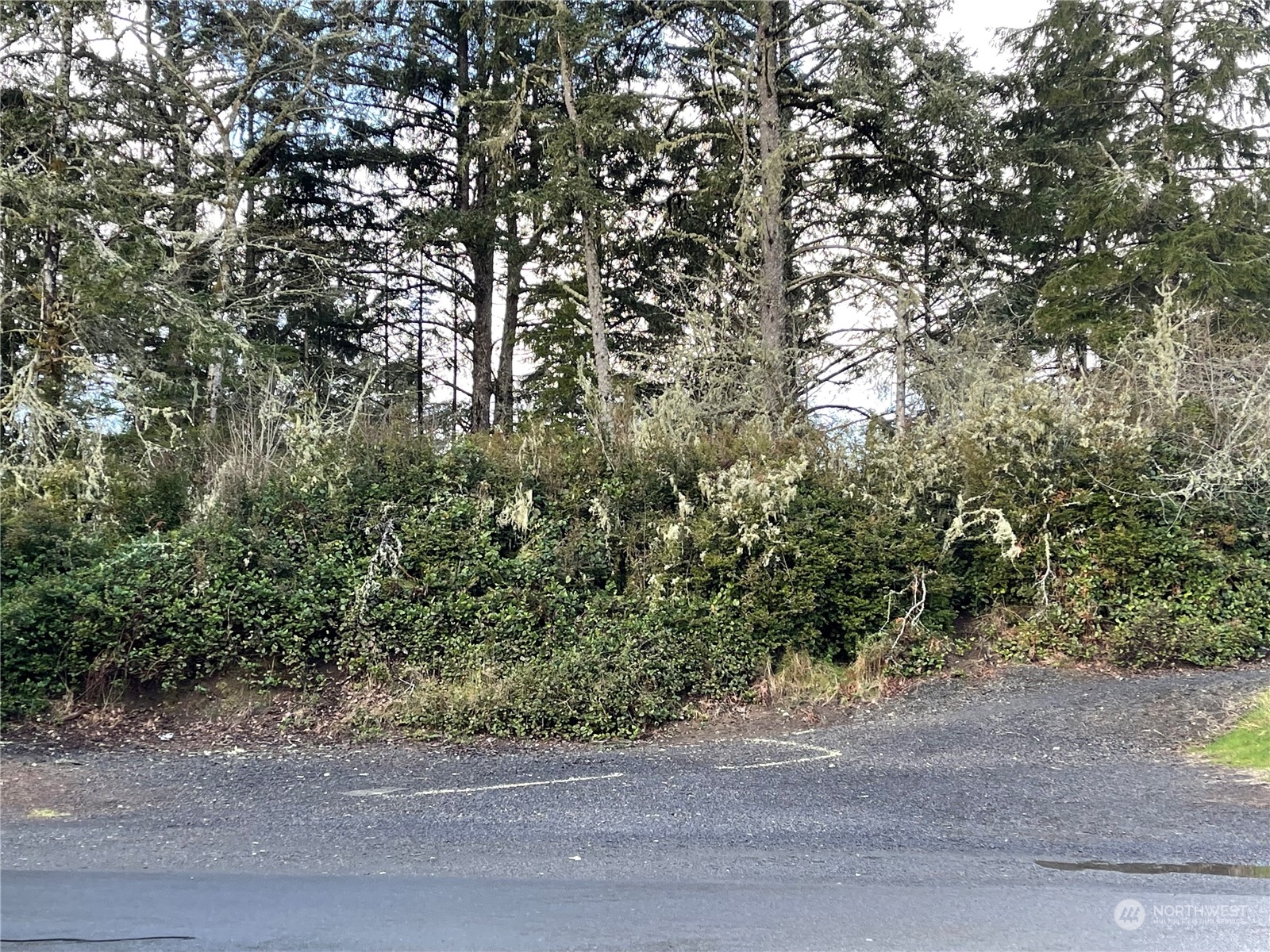 653 Sunset Avenue Property Photo 4
