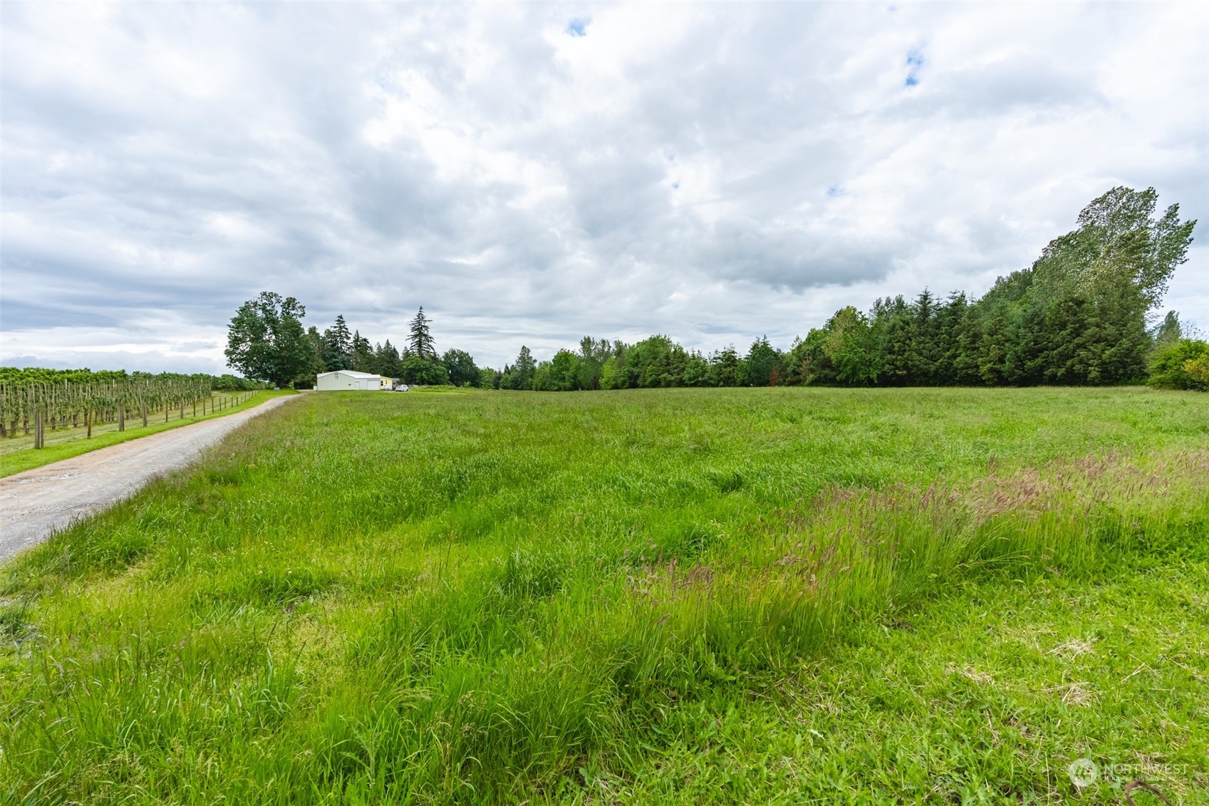 191 Ten Mile Road Property Photo 39
