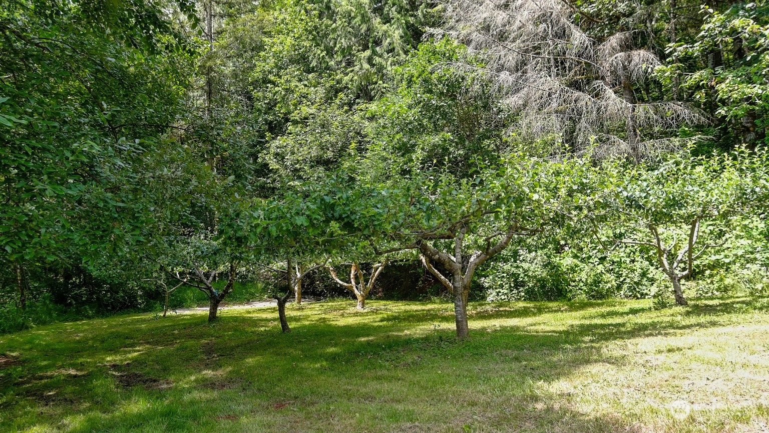 12832 Hunter Road Property Photo 36