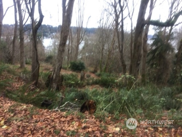 8119 Sand Dollar Lane Property Photo 1