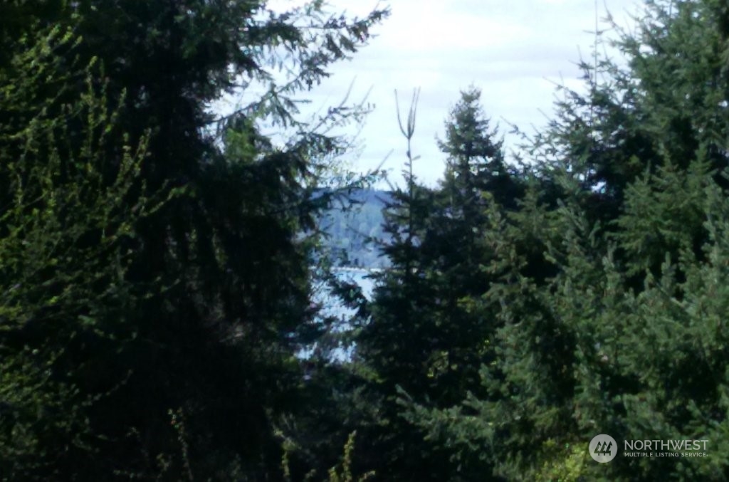 16211 25th Avenue Property Photo 19