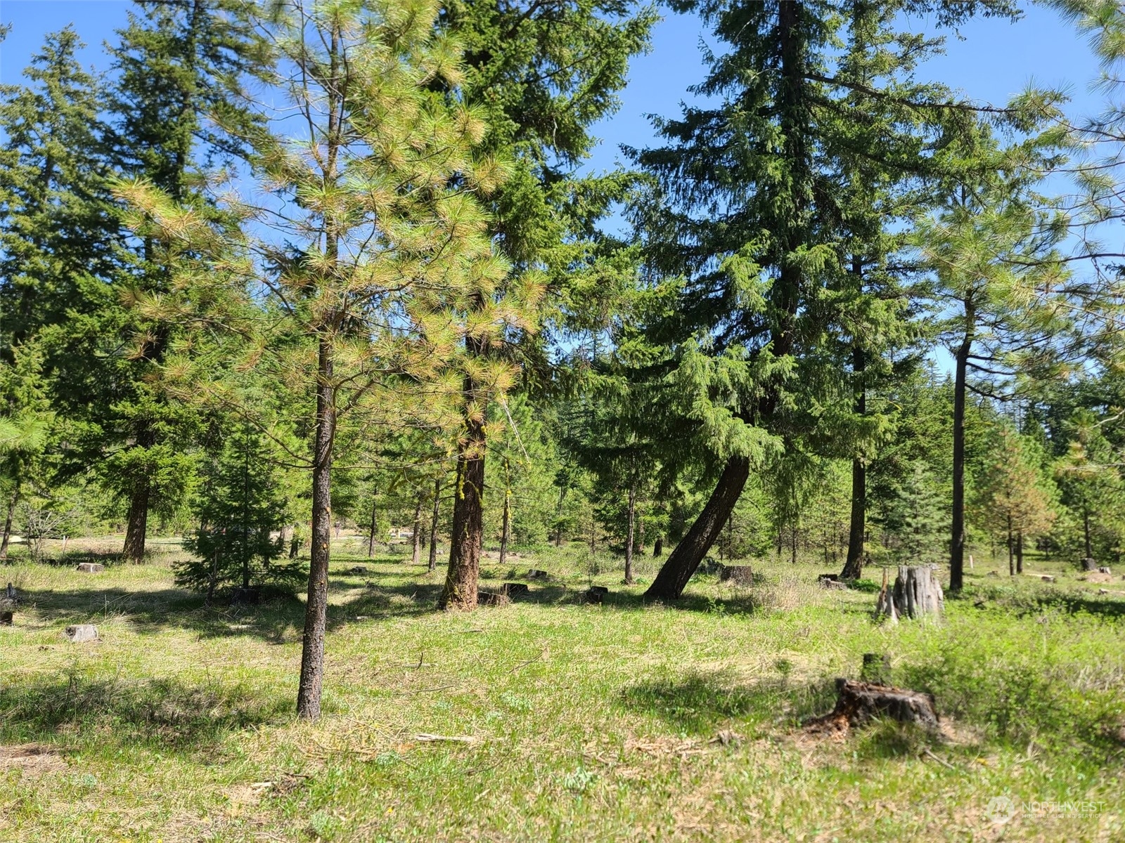 65 Wanawish Loop Property Photo 1