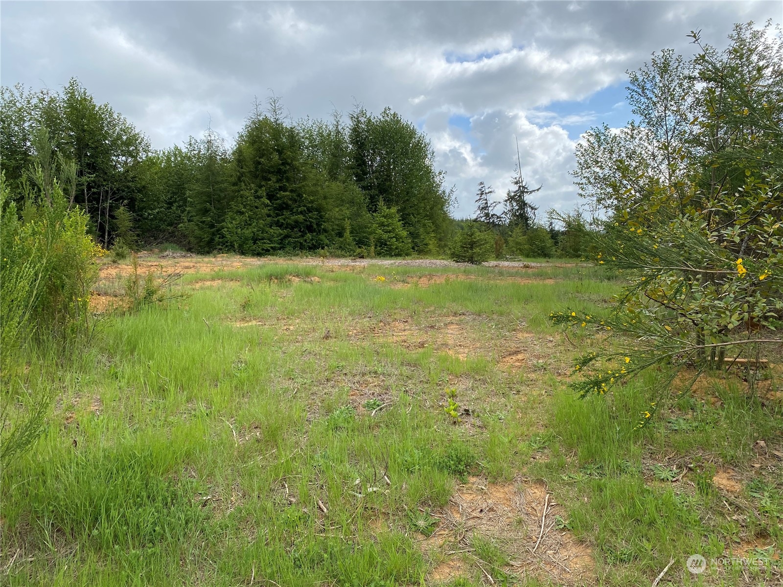 0 Curlew Court Property Photo