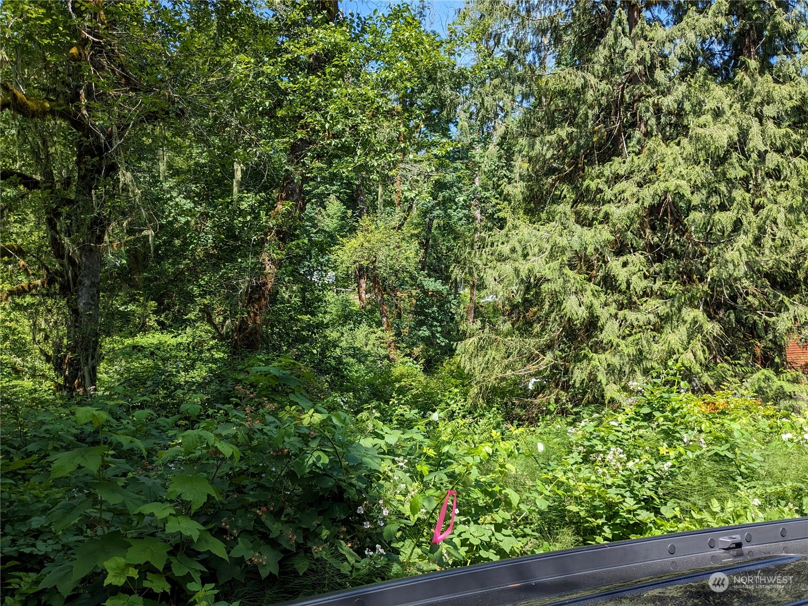 21828 Alder Loop Road Property Photo