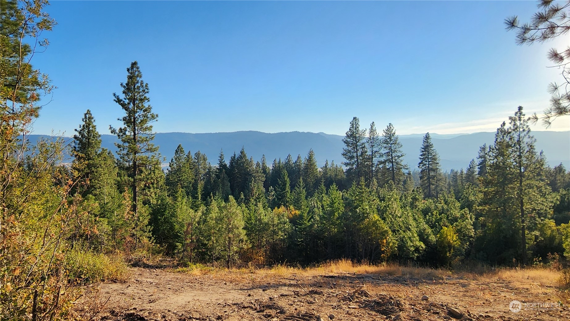 2 Lot 2 Forest Ridge Drive Property Photo