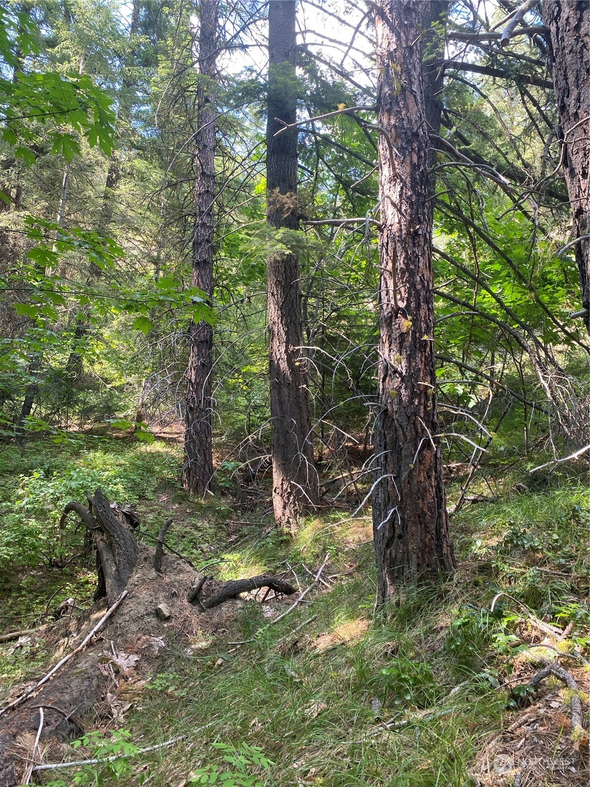 0 Second Creek Road Property Photo