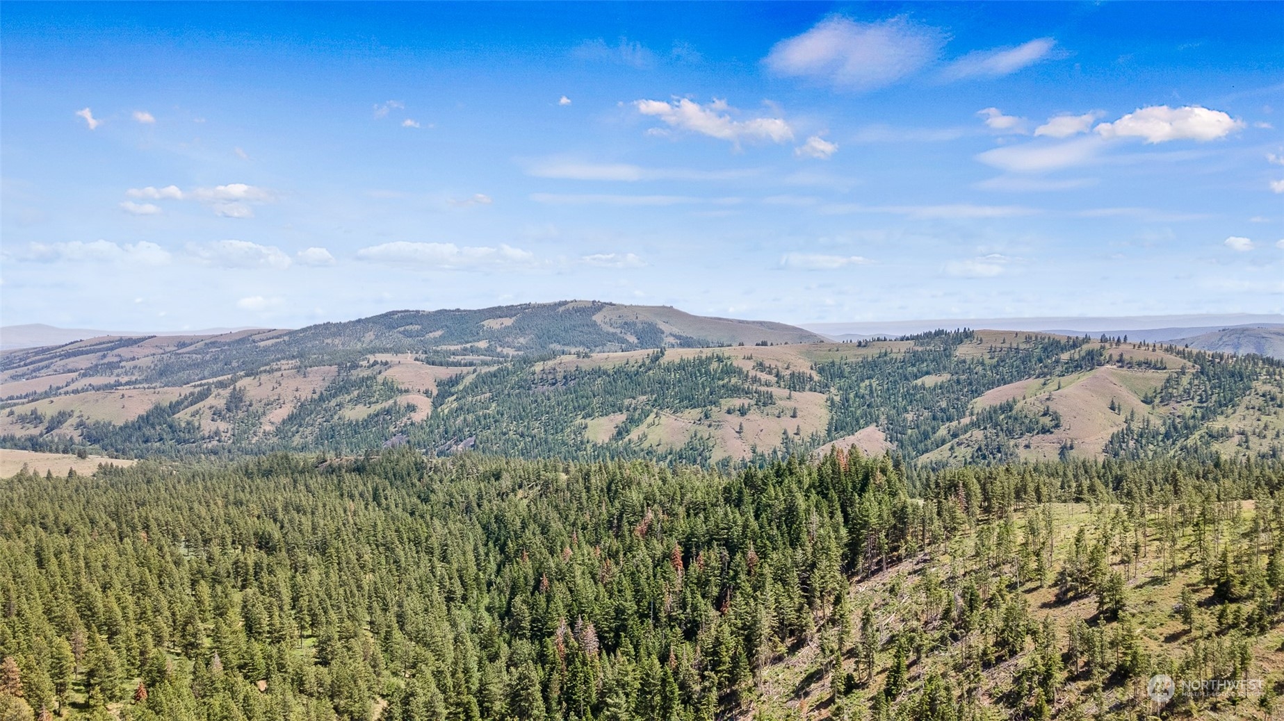 0 Nasty Creek Property Photo