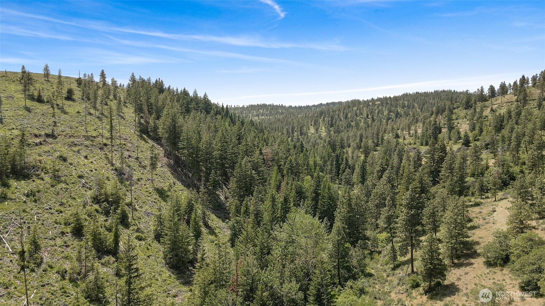 0 Nasty Creek Property Photo 2
