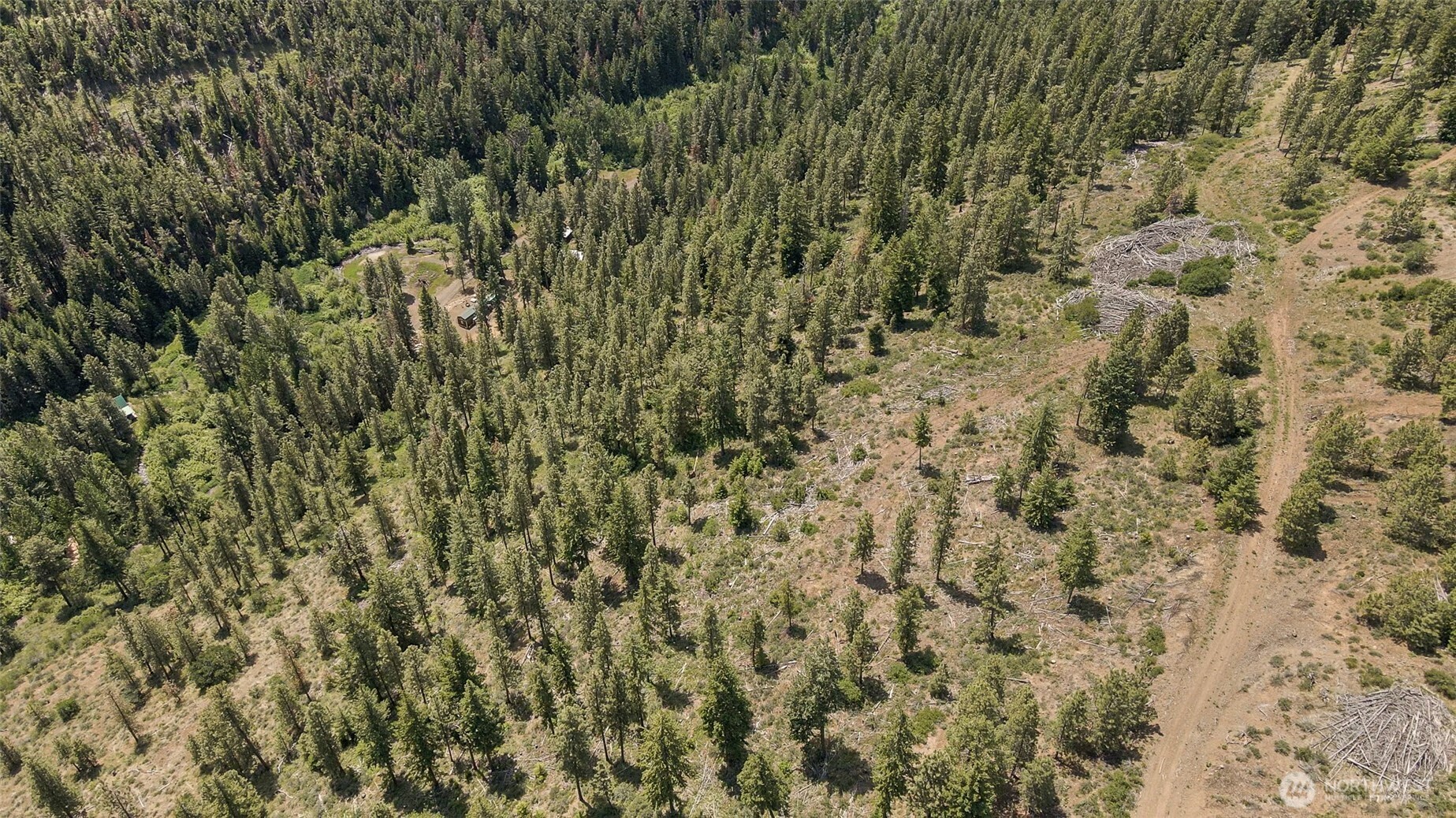 0 Nasty Creek Property Photo 3