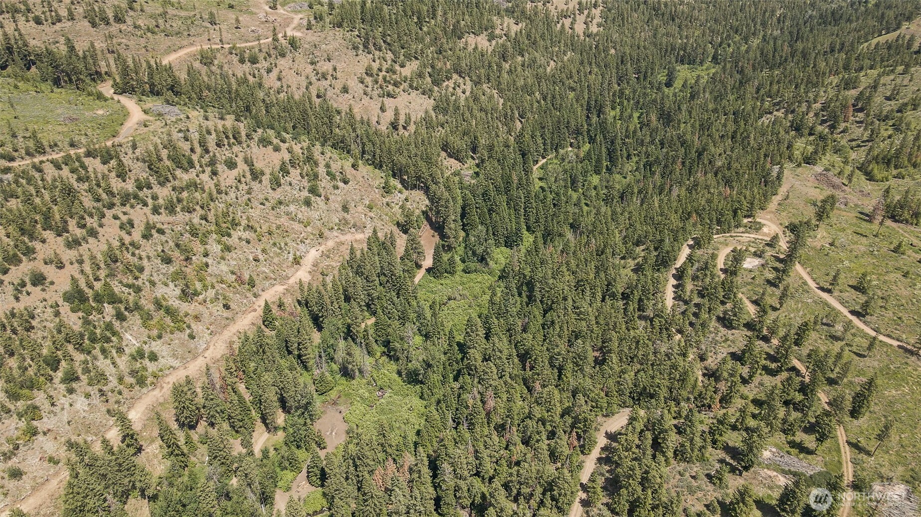 0 Nasty Creek Property Photo 9