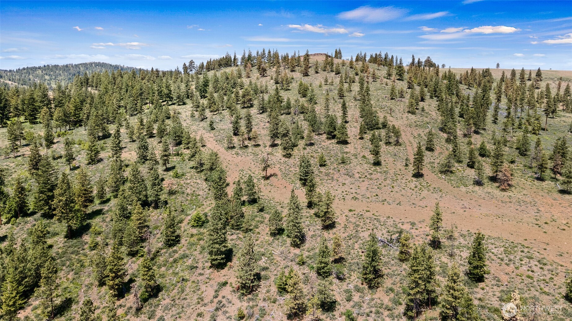 0 Nasty Creek Property Photo 15