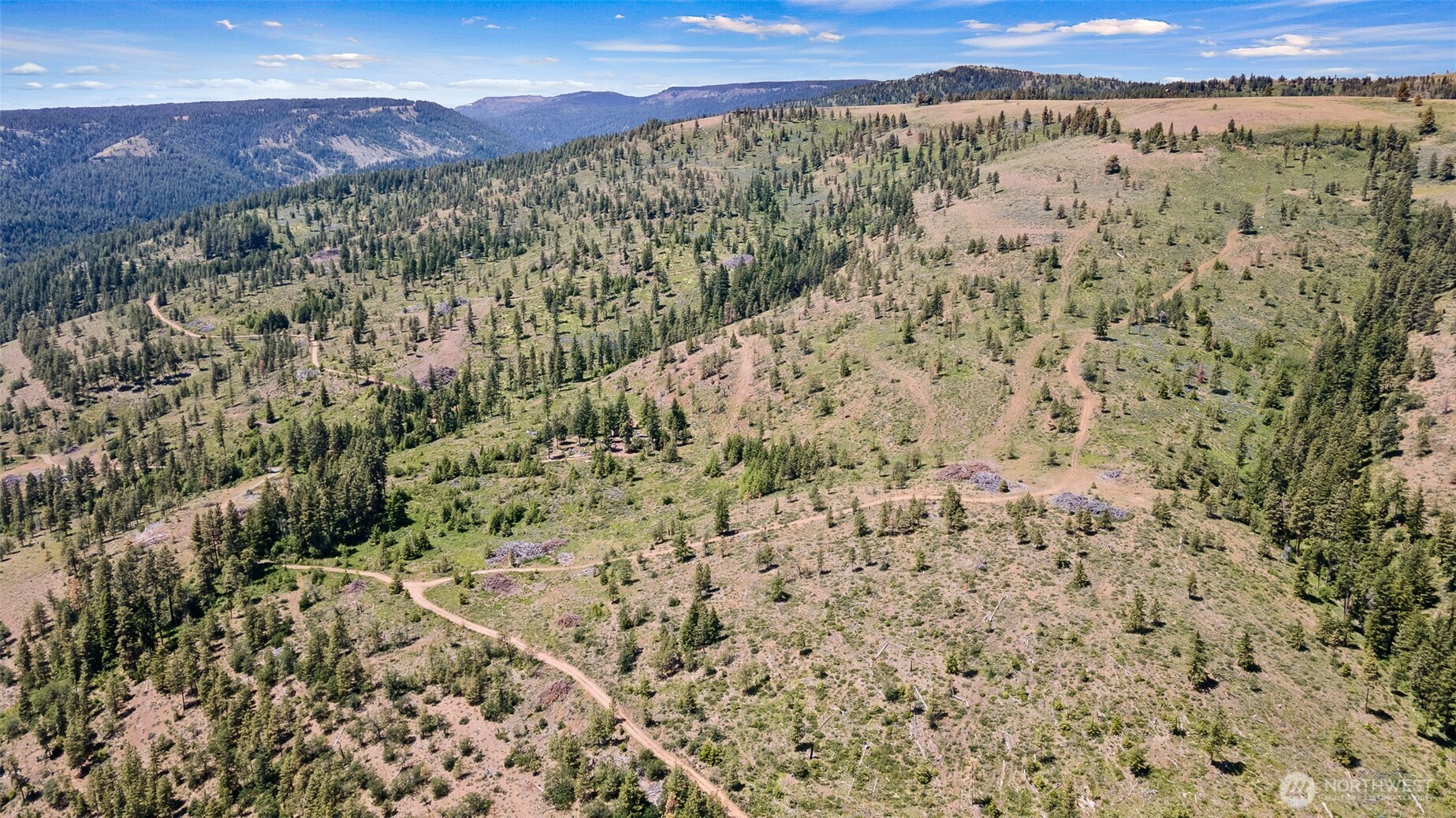 0 Nasty Creek Property Photo 18