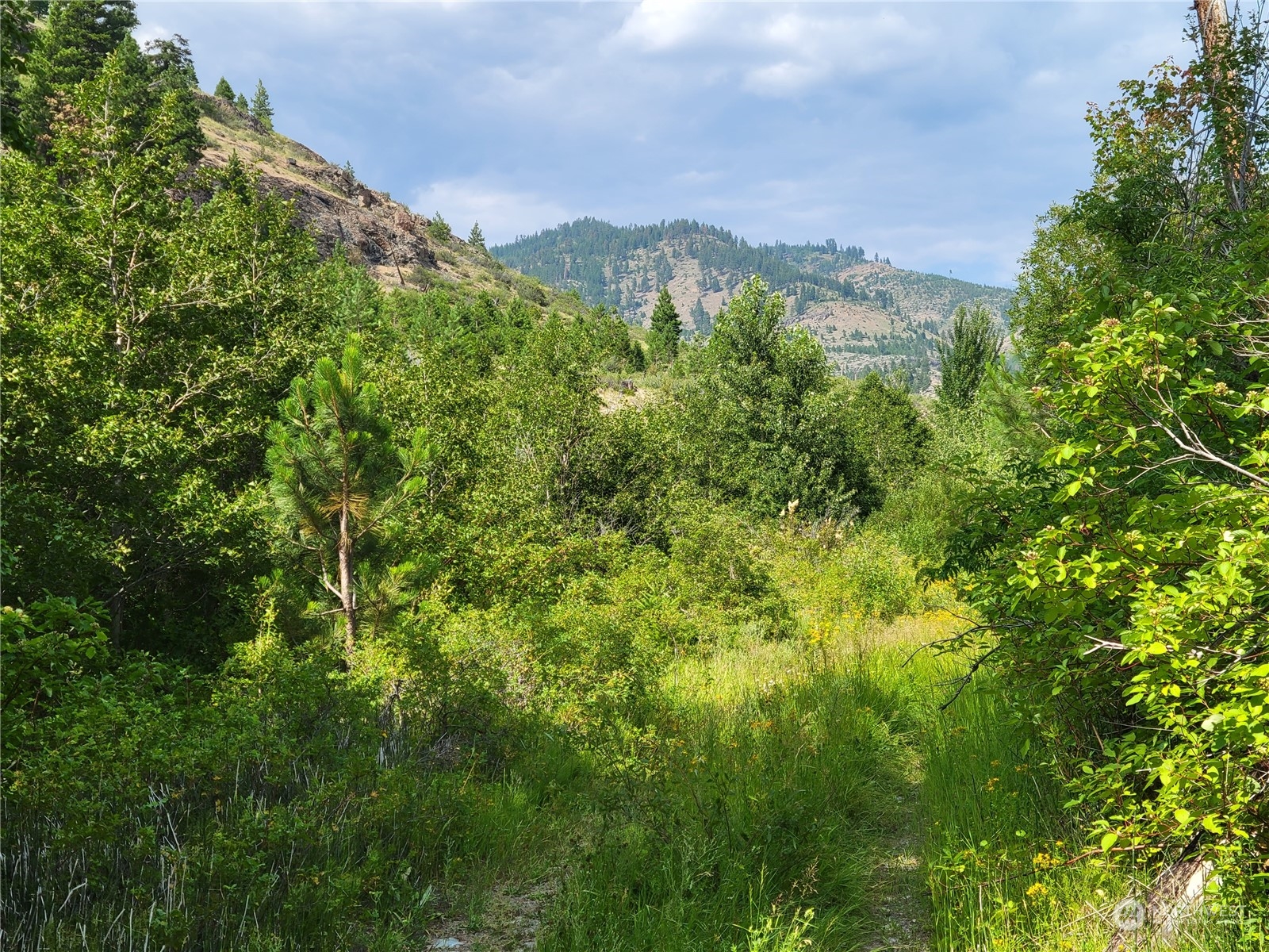 13650 Entiat River Road Property Photo