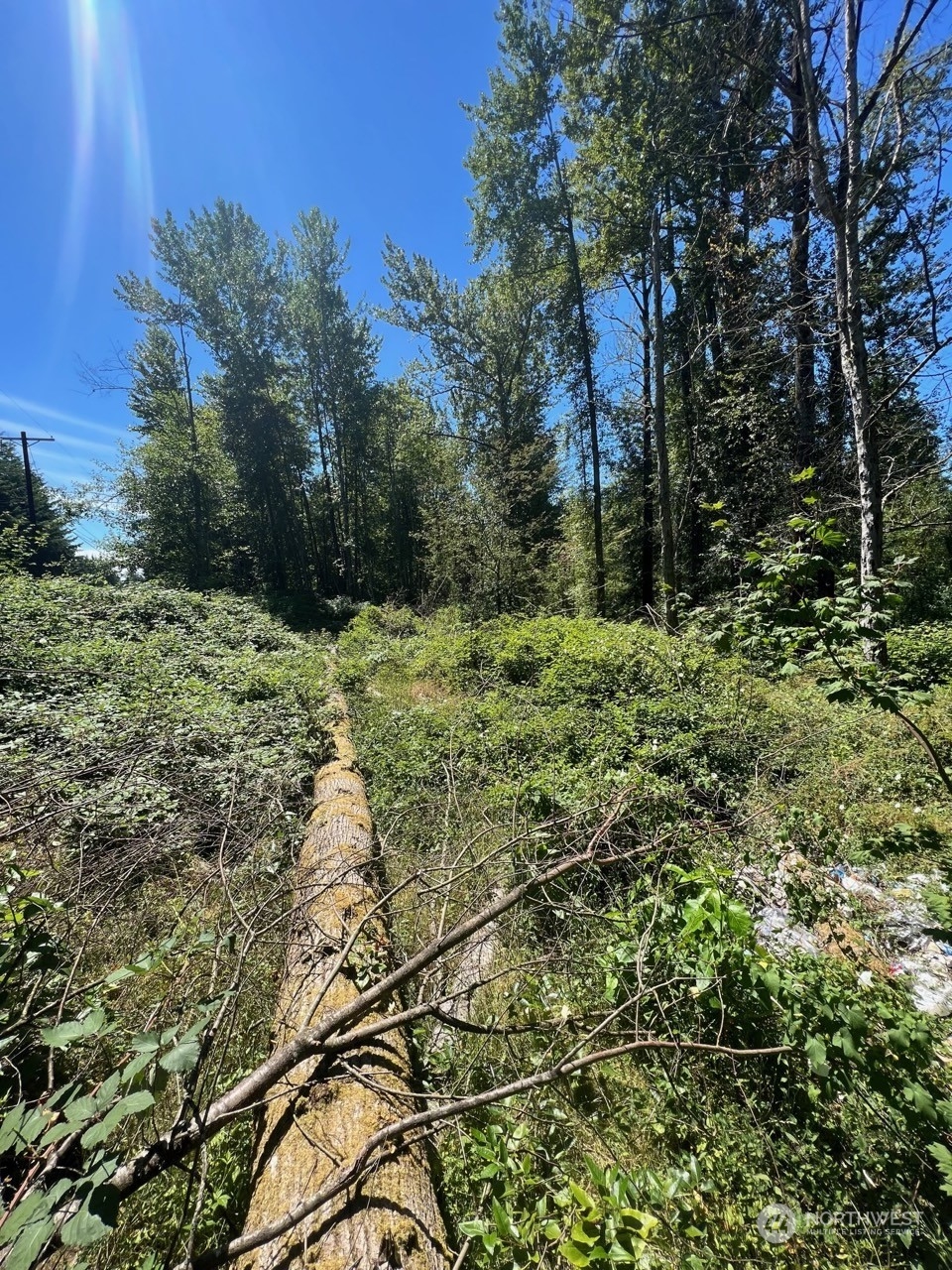14000 Center Road Property Photo 2