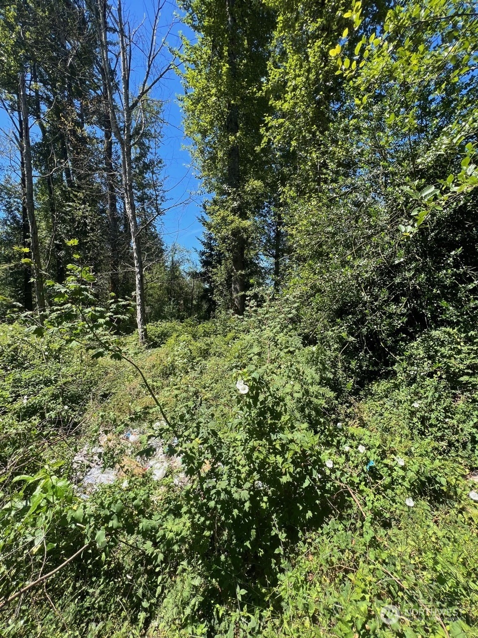 14000 Center Road Property Photo 3