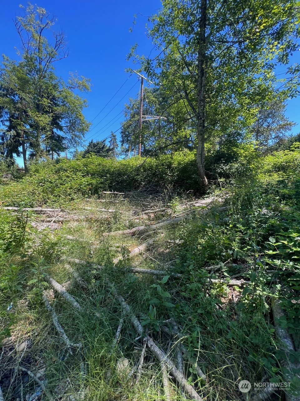 14000 Center Road Property Photo 10