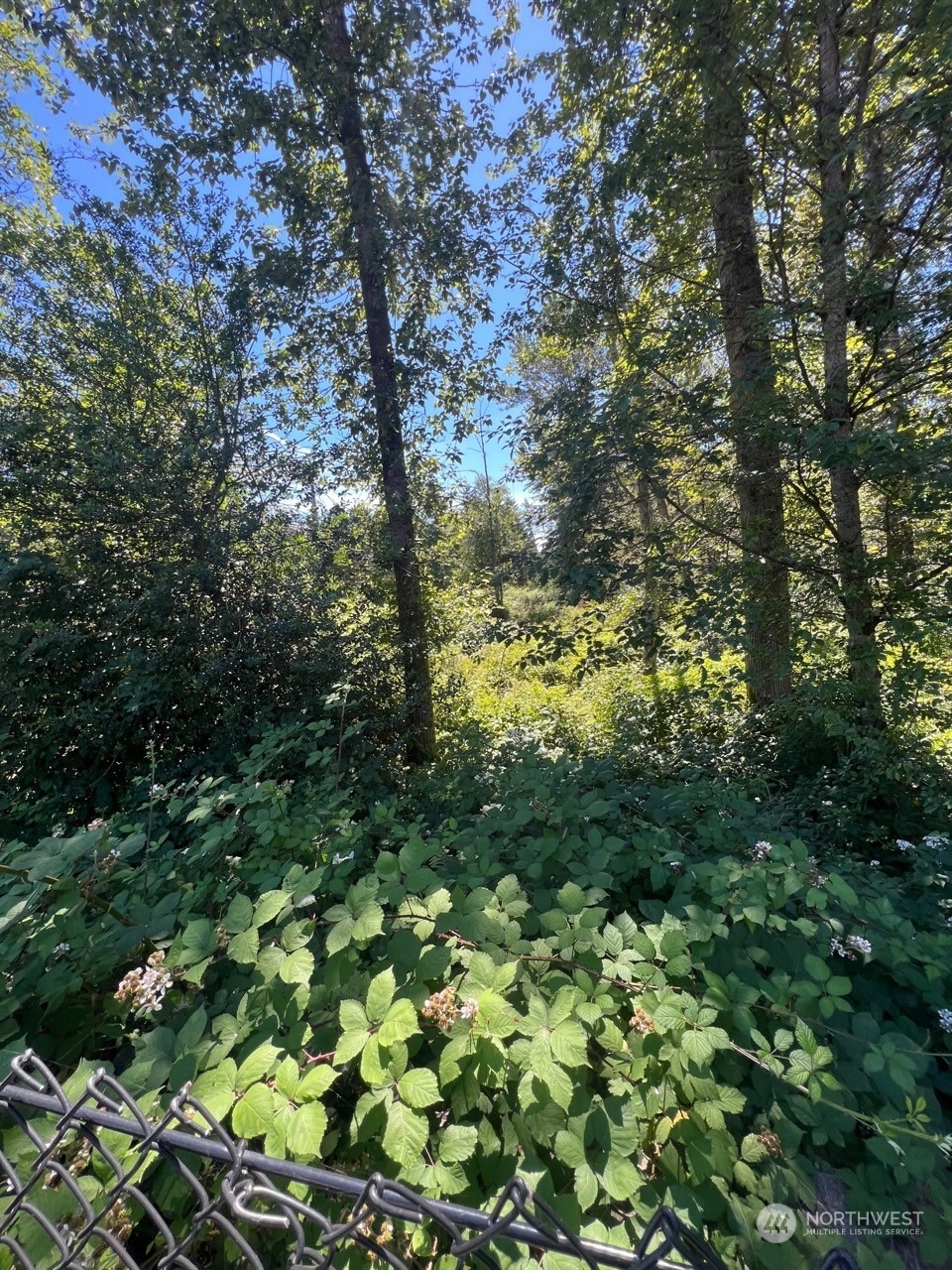 14000 Center Road Property Photo 16