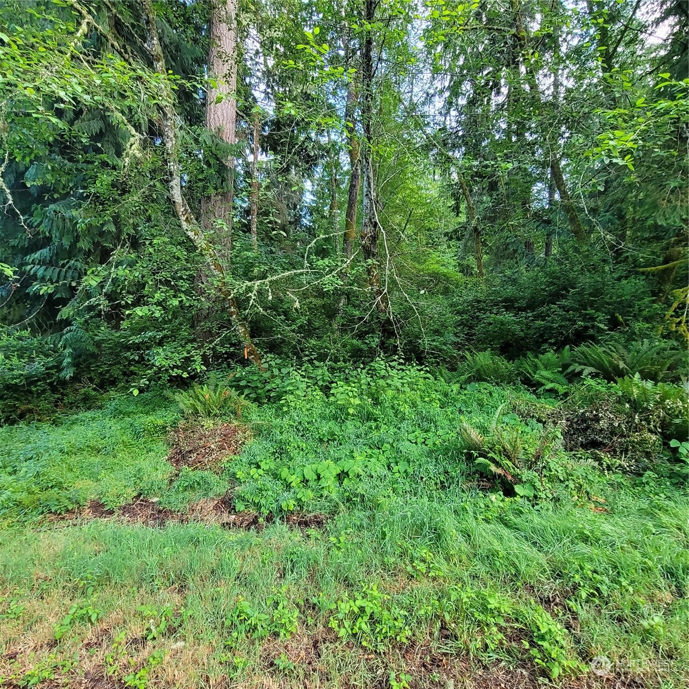 12726 96th Street Ct Property Photo 1