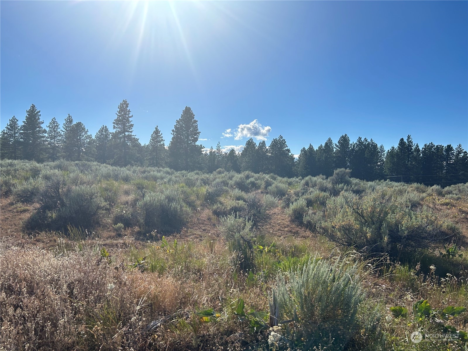 200 Blue Jay Road Property Photo