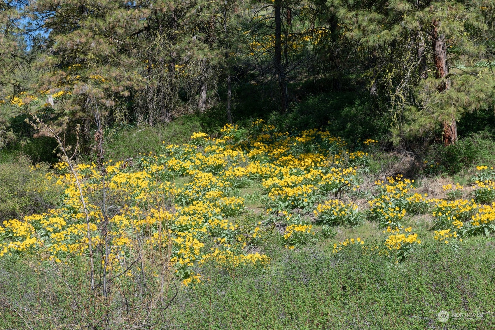 10690 Fox Road Property Photo 8