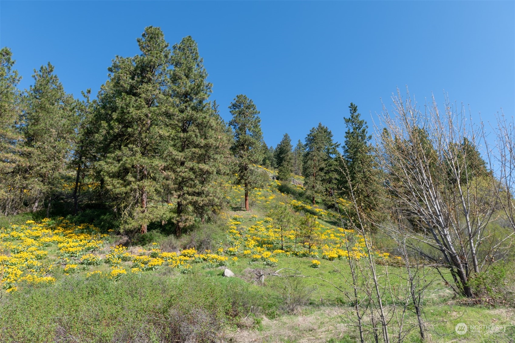10690 Fox Road Property Photo 9