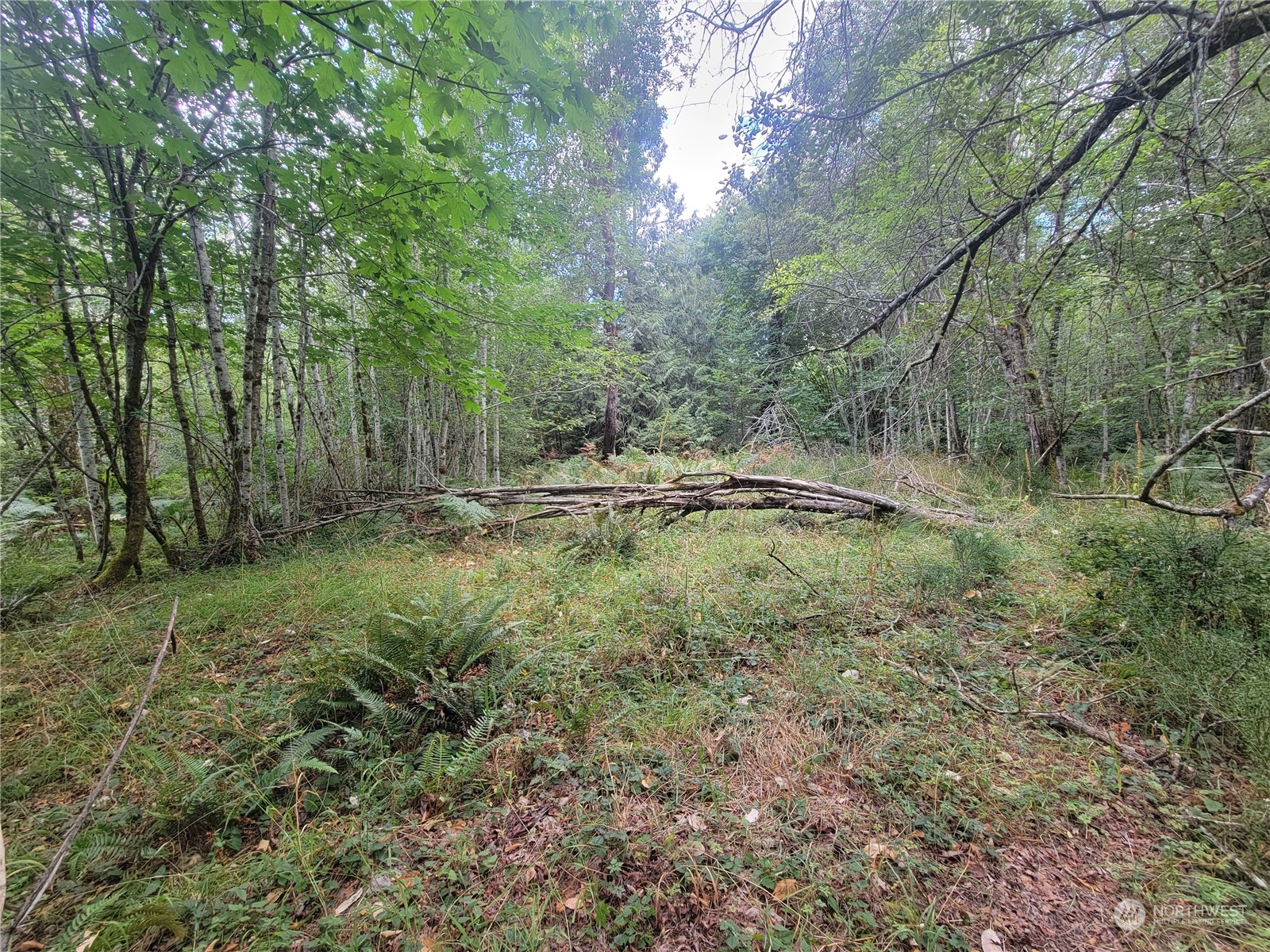 900 930 E Wilson Way Property Photo 2