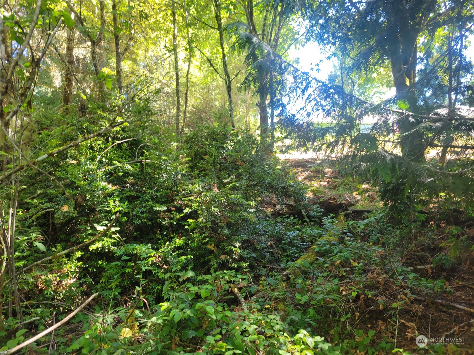 900 930 E Wilson Way Property Photo 6