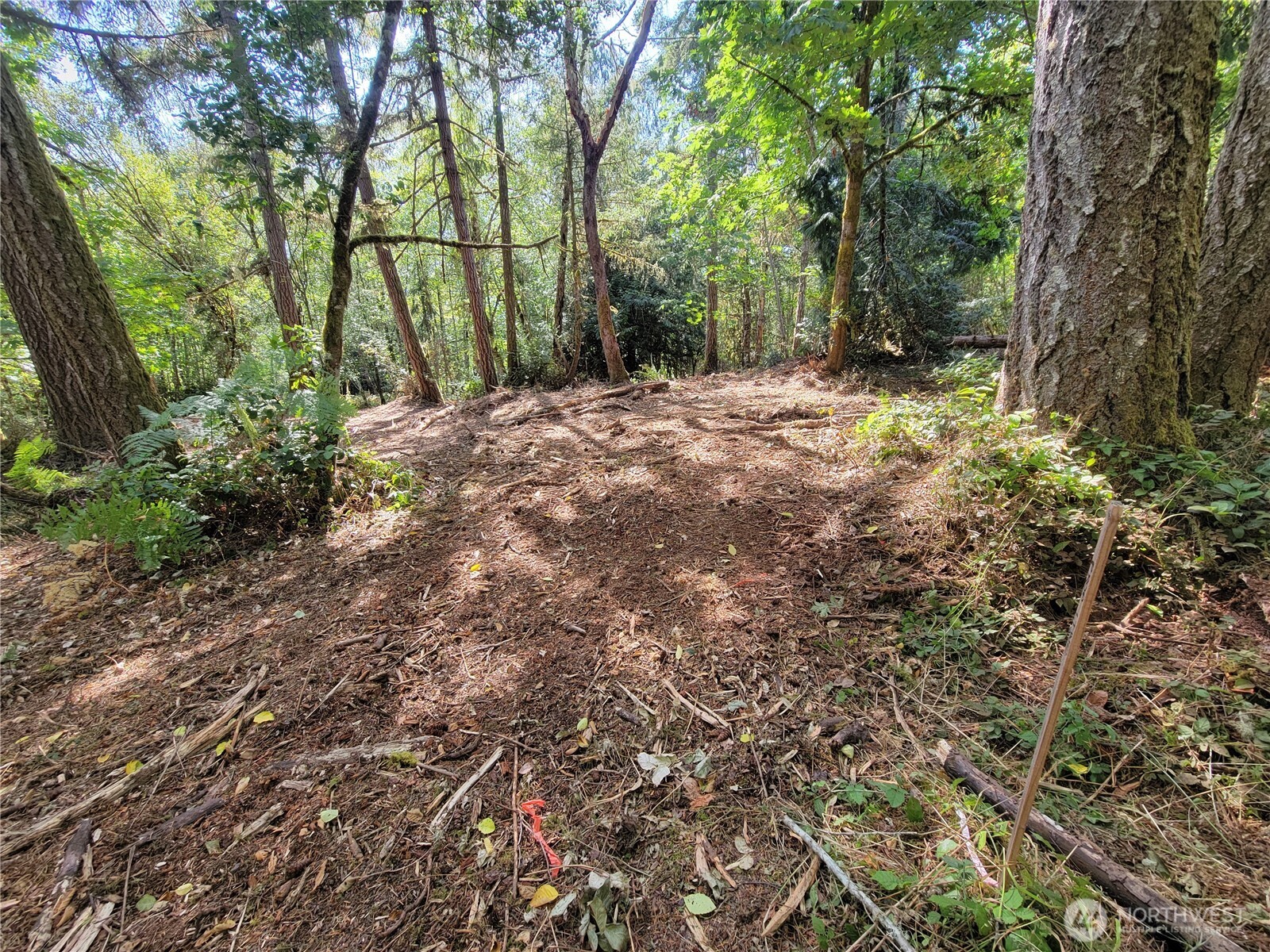 900 930 E Wilson Way Property Photo 9