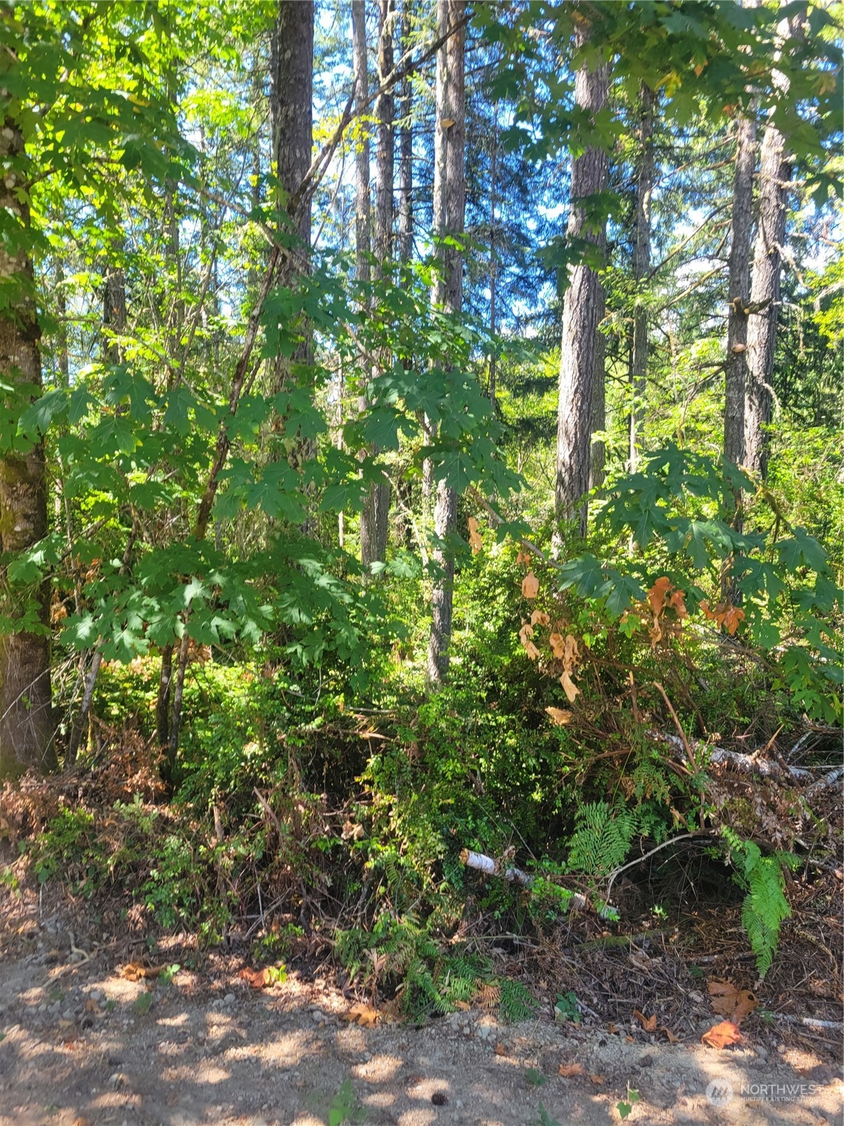 900 930 E Wilson Way Property Photo 13