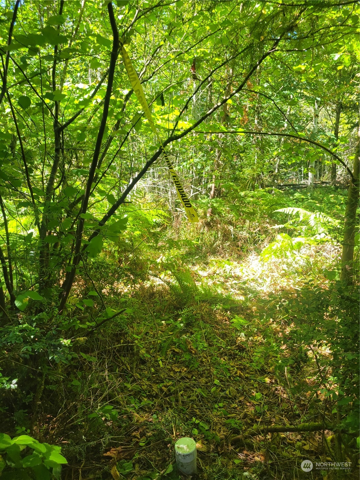 900 930 E Wilson Way Property Photo 20