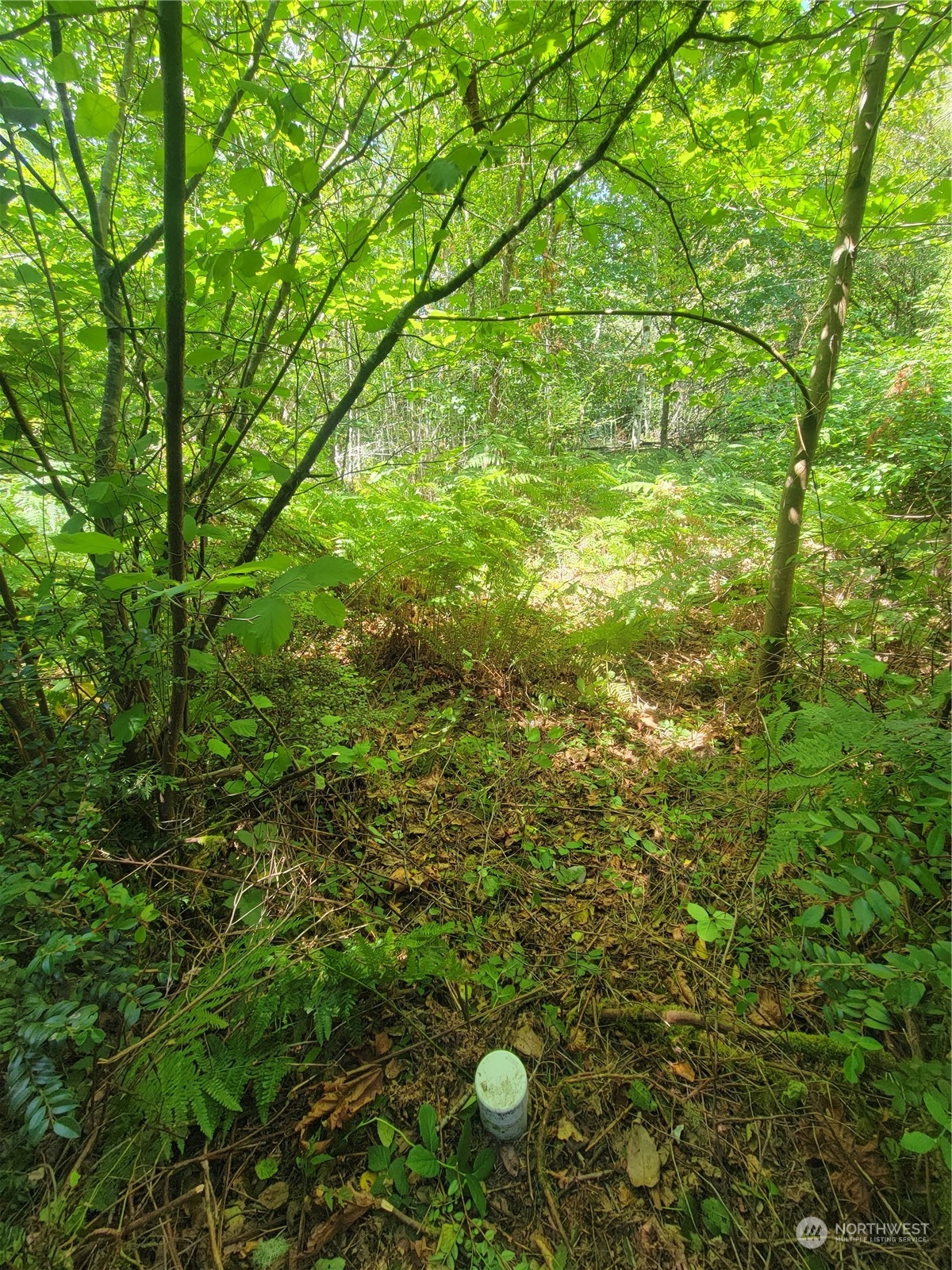 900 930 E Wilson Way Property Photo 22
