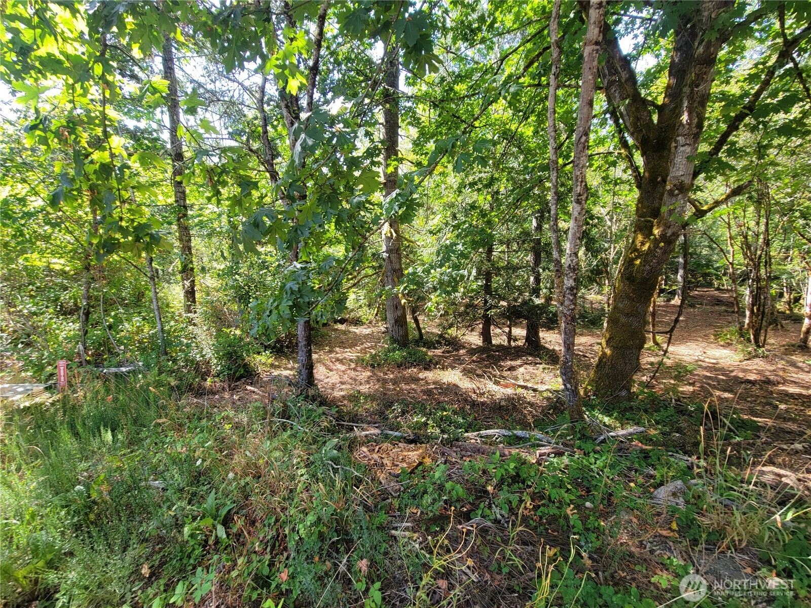900 930 E Wilson Way Property Photo 25